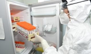 2023年11月新冠高峰